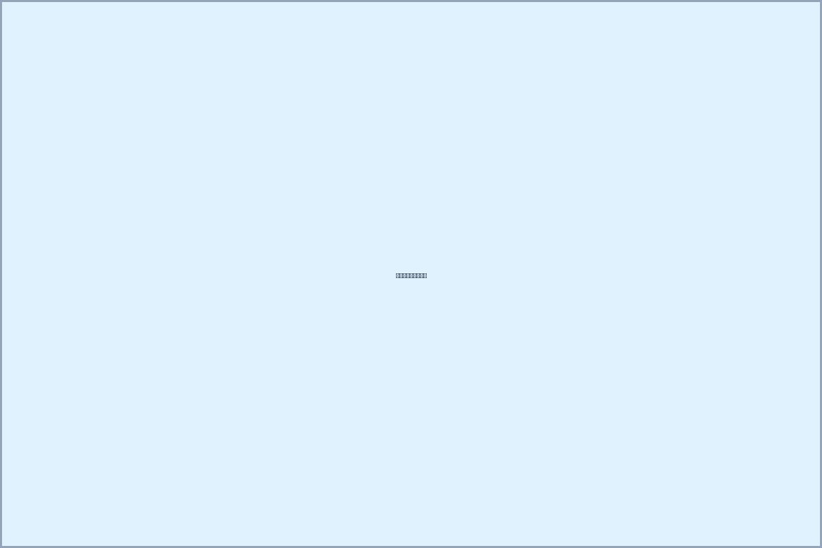 척추 영상 확인